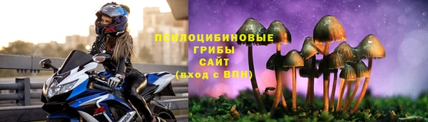 MESCALINE Пересвет