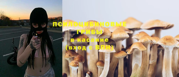 ешки Пестово